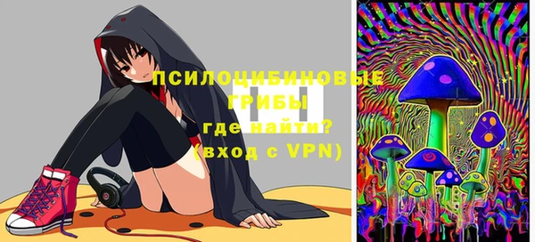 шишки Алзамай