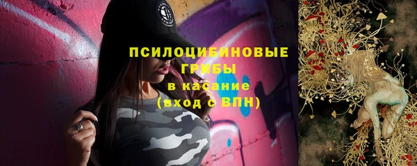 шишки Алзамай