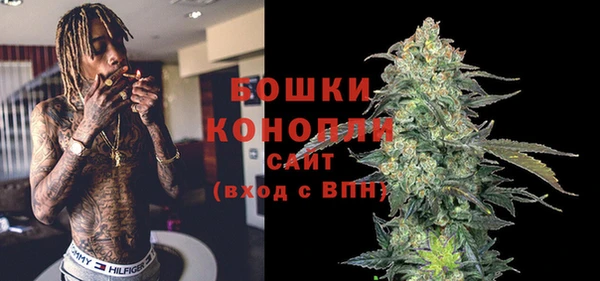 шишки Алзамай