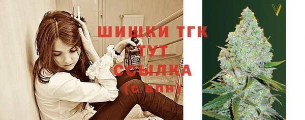 ГАЛЛЮЦИНОГЕННЫЕ ГРИБЫ Алексин
