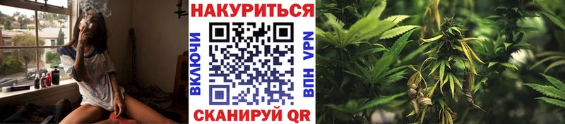 Конопля сатива  kraken как зайти  Югорск  как найти закладки 